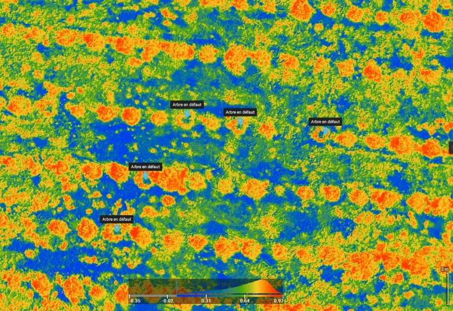 Imagerie multispectrale par drone : ce qu'elle apporte aux cultures corses